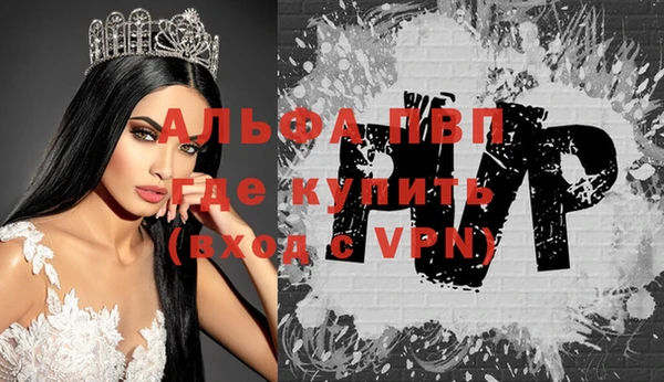 экстази Ельня