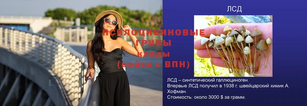 СК Елабуга