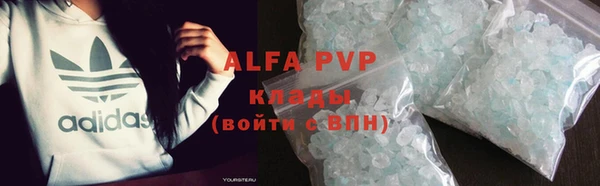 СК Елабуга