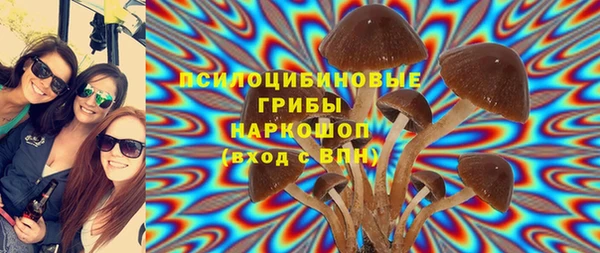 СК Елабуга