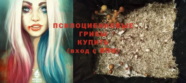 СК Елабуга