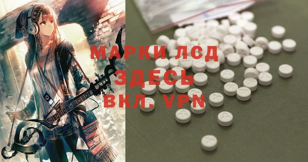 экстази Ельня