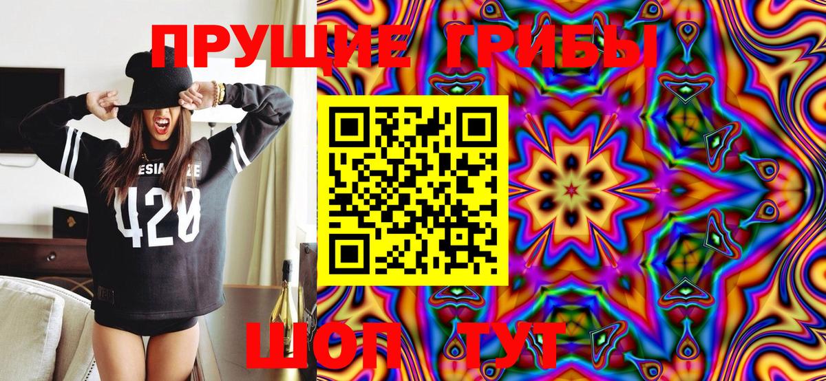 Галлюциногенные грибы мухоморы  где найти   Вход с VPN  Нефтекамск  Псилоцибиновые грибы Psilocybe 